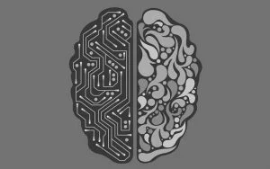 meat computer Tyhe brain - a meat computer?