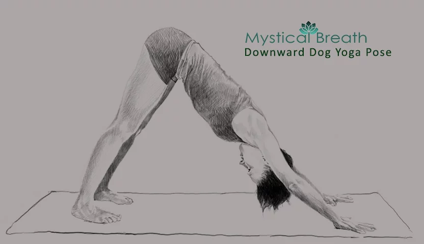 Downward dog Downward dog yoga pose