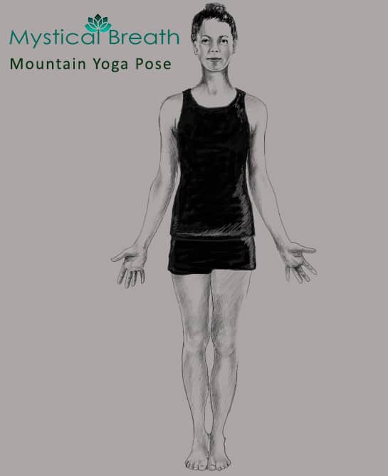 Mountain pose Mountain Yoga pose