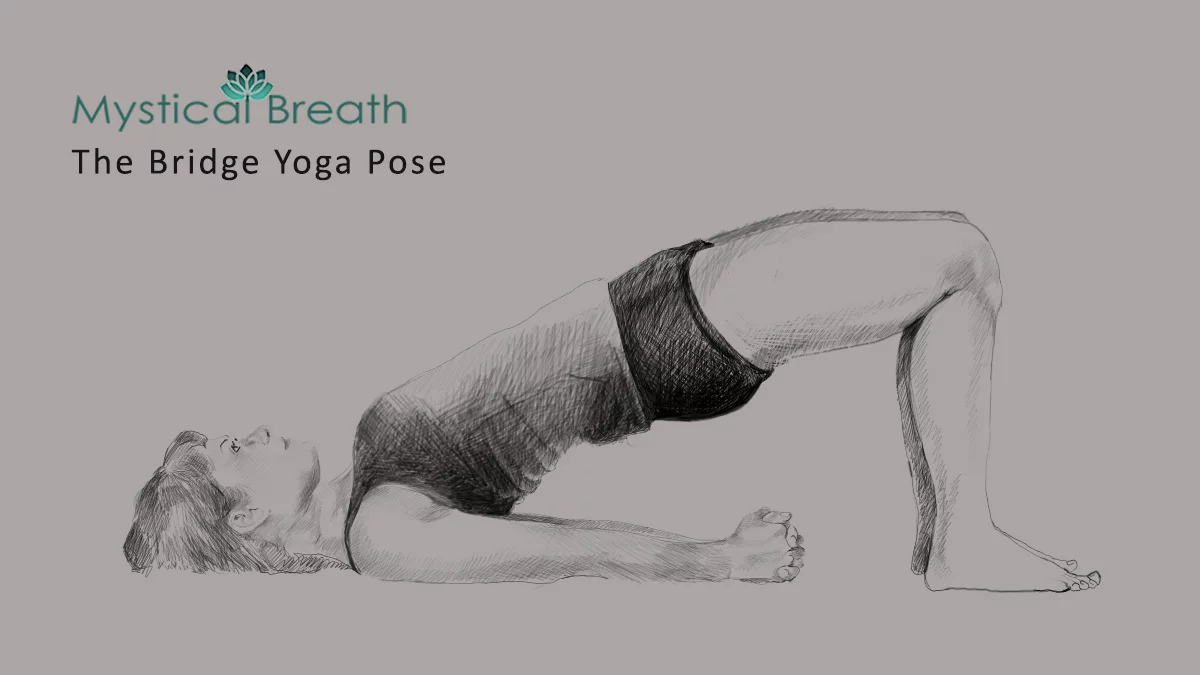 bridge-pose- The bridge Yoga Pose