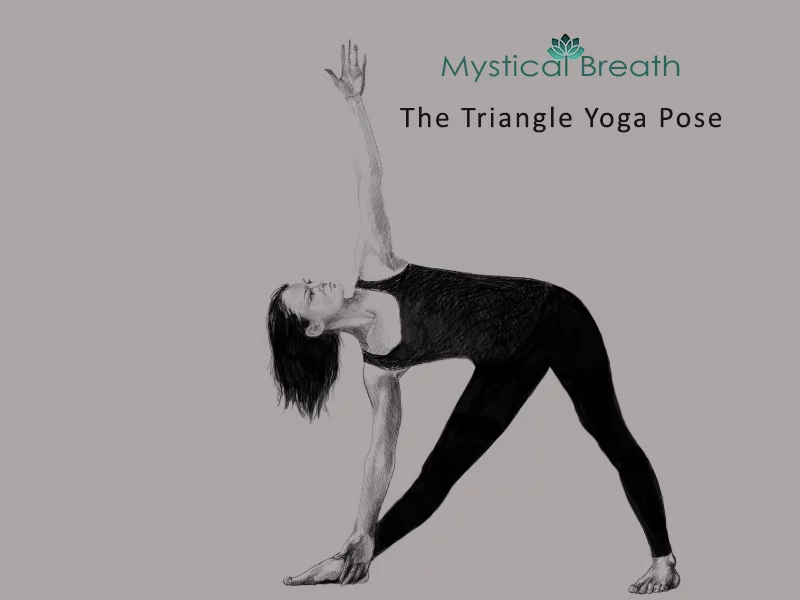 triangle-pose- the triangle yoga pose